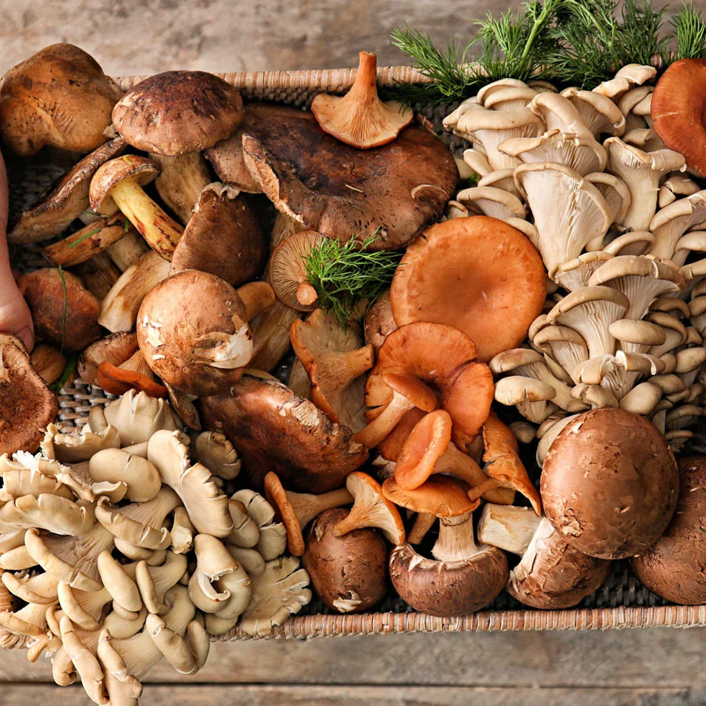 Fermenting Mushrooms for Unique Flavors