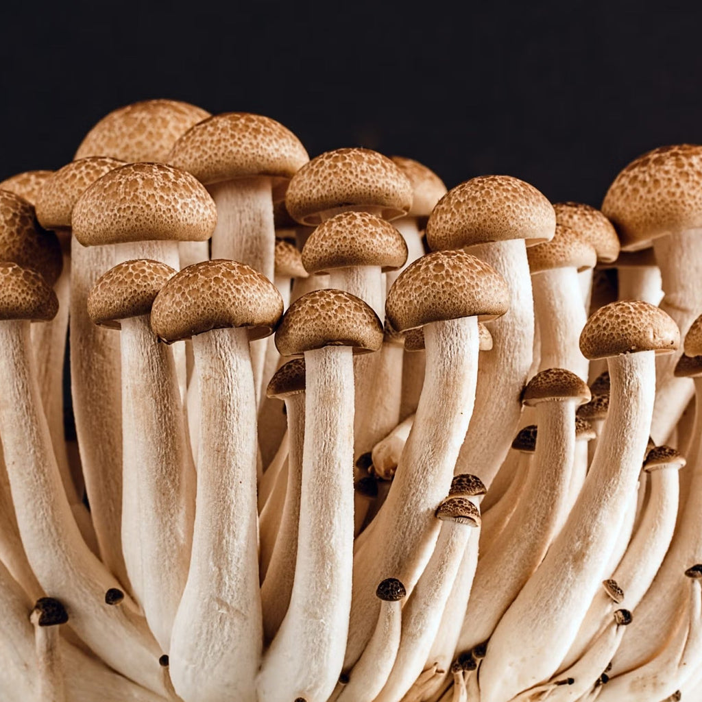 7 Surprising Benefits of Eating Mushrooms