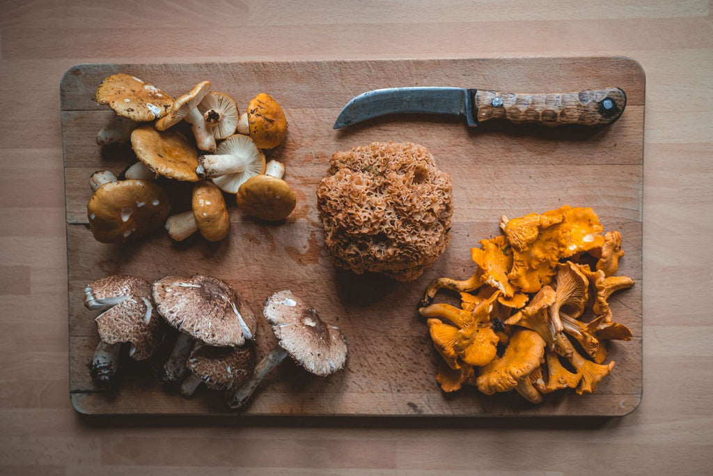 Essential Tools for a Successful Harvest