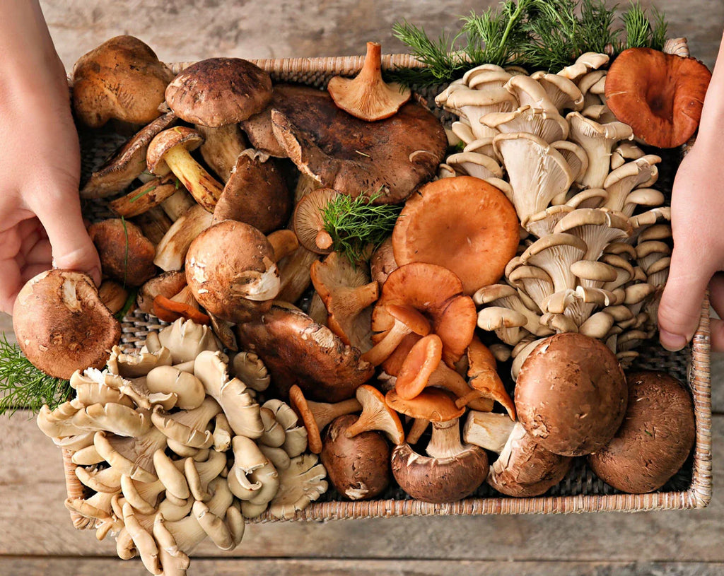 Fermenting Mushrooms for Unique Flavors