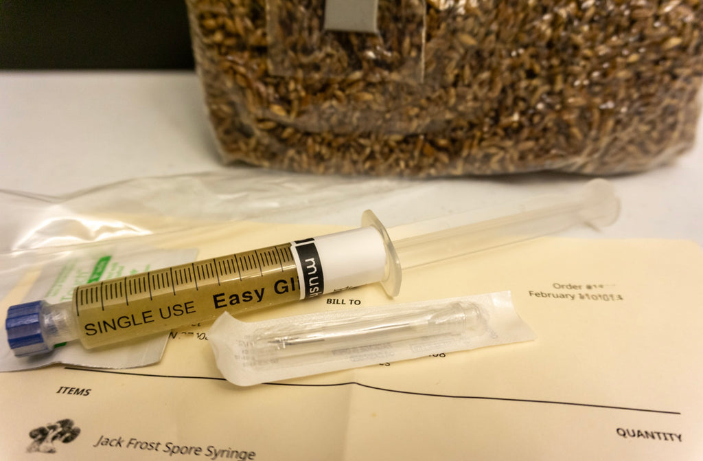 How To Inoculate Grain Spawn with A Spore Syringe