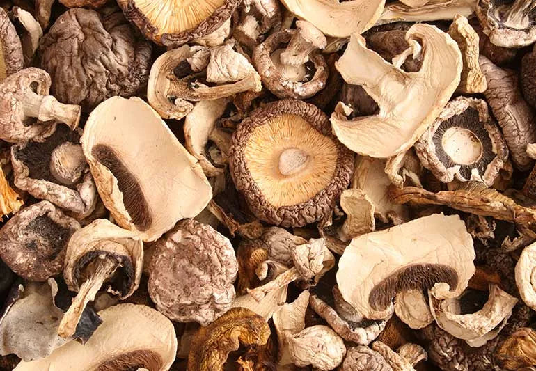 Cure for Mushroom Infections